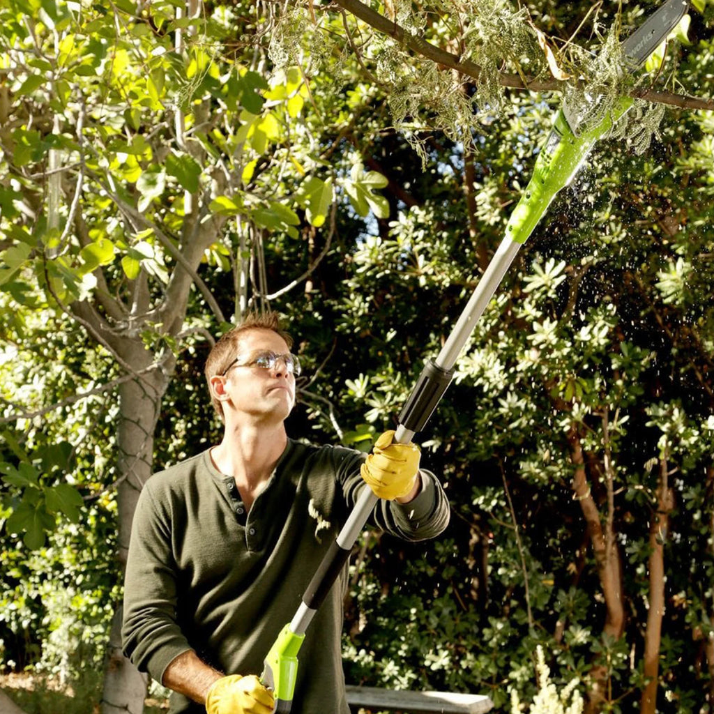 40V Cordless Battery Powered Pole Saw with 2.0 Ah Battery & Charger F25827